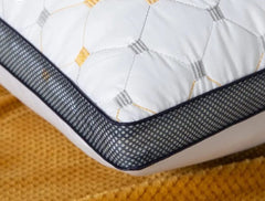 Embroided Polyster Filled Pillows Pair