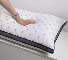 Embroided Polyster Filled Pillows Pair